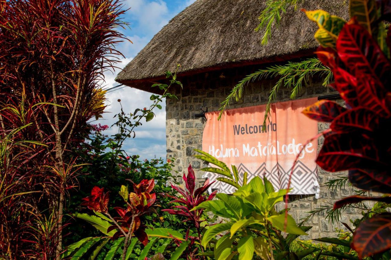 Hakuna Matata Lodge Gisenyi Exteriér fotografie